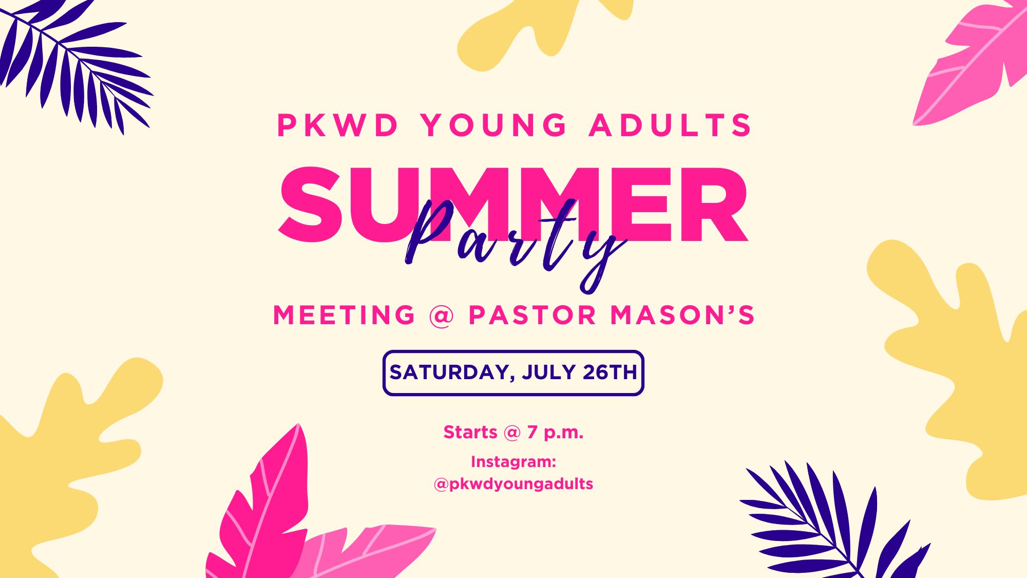 Young Adults Summer Party